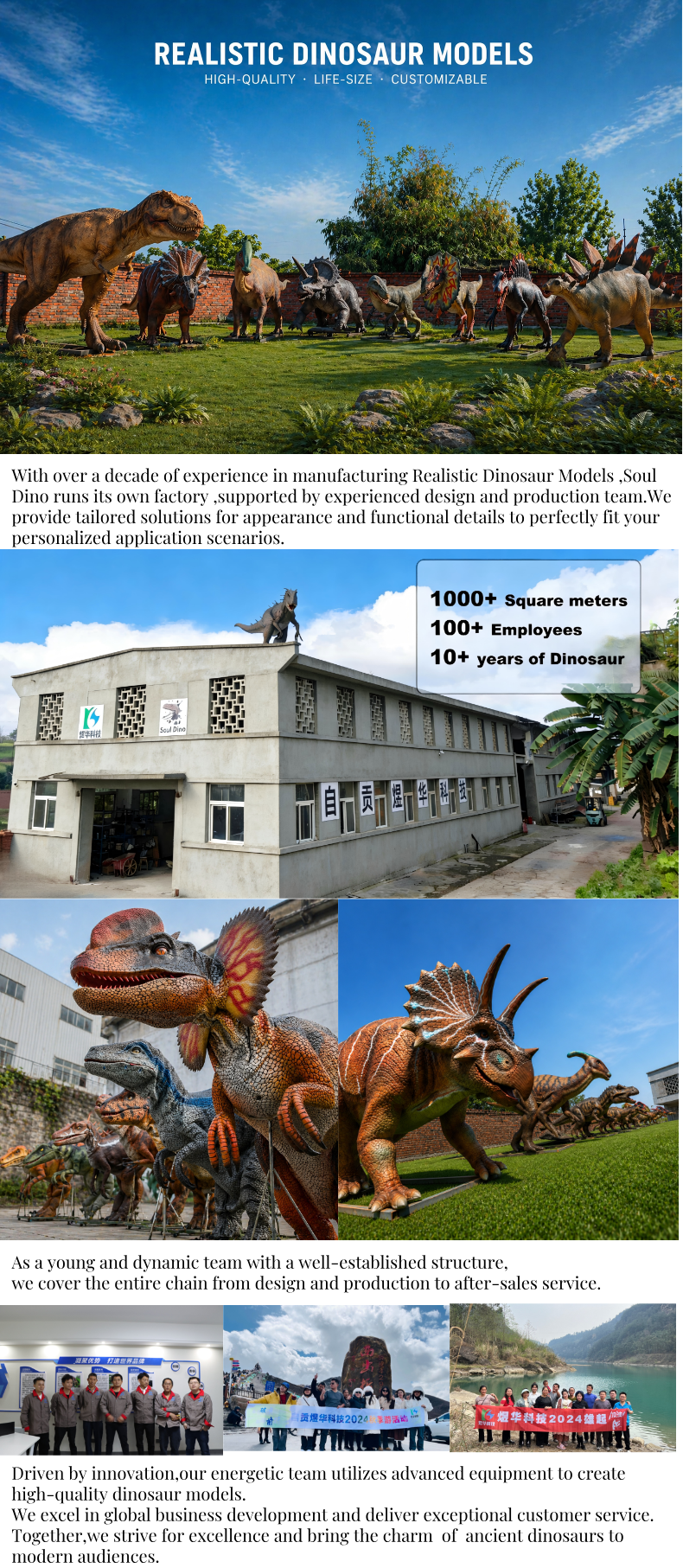 About our company